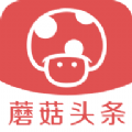 蘑菇头条app手机版软件下载v3.1.0