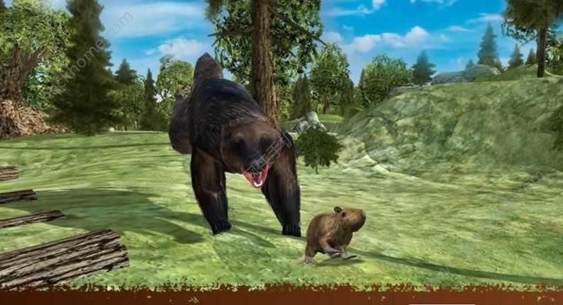 小熊模拟器最新安卓版（Wolverine Animal Simulator）v1.9.5.1