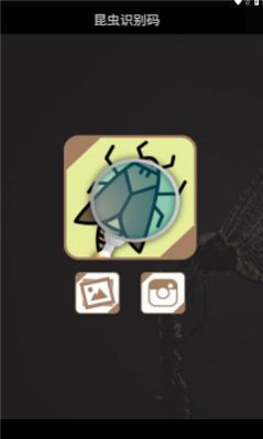 昆虫识别码app手机版v1.3