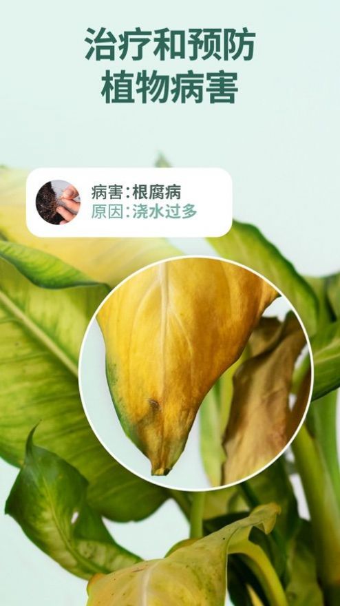 花草录软件iosapp下载图片1