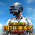 PUBG日韩服手游下载2.7.0最新版本v3.3.0