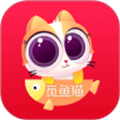 觅鱼猫app最新版v0.0.22