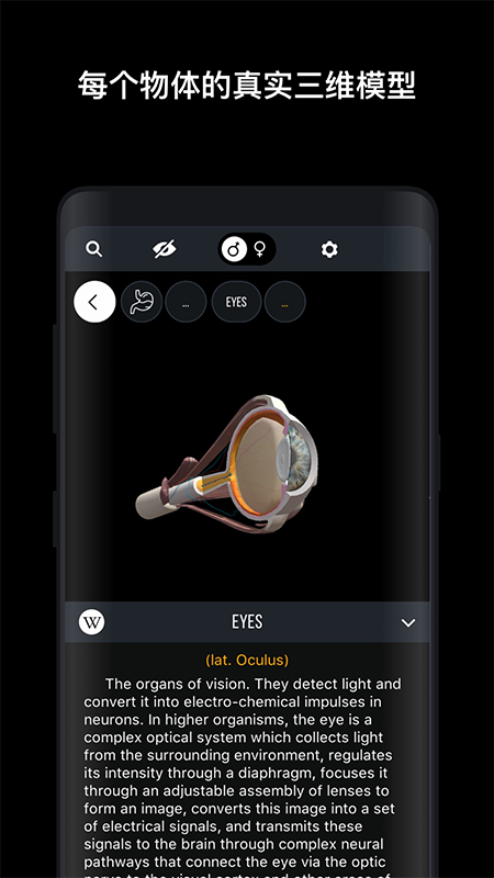 人体解剖学图谱3D app官方版v1.0.0