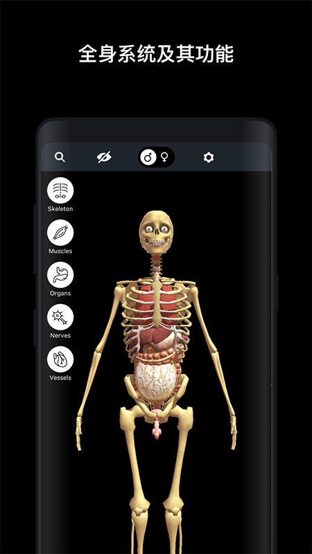 人体解剖学图谱3D app官方版v1.0.0