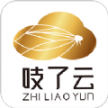 吱了云平台app官方版下载v1.1.1