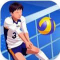 排球竞技场全明星安卓版最新版下载（Volleyball Arena All Star）v1.0