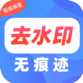 去水印Pro王app最新安卓版下载v1.33