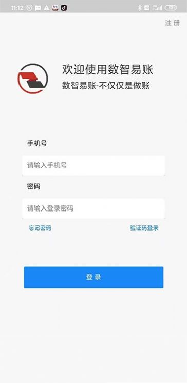 数智易帐app手机版下载v1.1