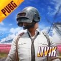 PUBG MOBILE国际服北欧地图版游戏下载v3.3.0