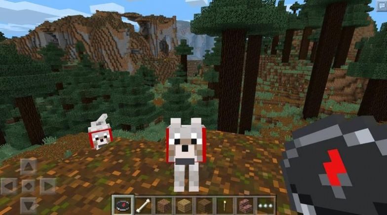 我的世界Minecraft1.16.1版本手机版下载图片2