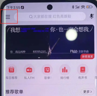 iphone13pro灵动半岛插件官方版v1.0