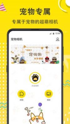 猫狗开心一刻宠物相机app官方下载v7.1.1001