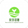 菜芽招聘app官方下载v1.0