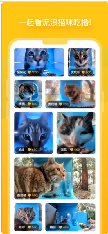 街猫官方下载最新版本V1.8.0