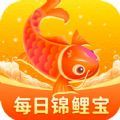 每日锦鲤宝做决定app手机版下载v1.4.9