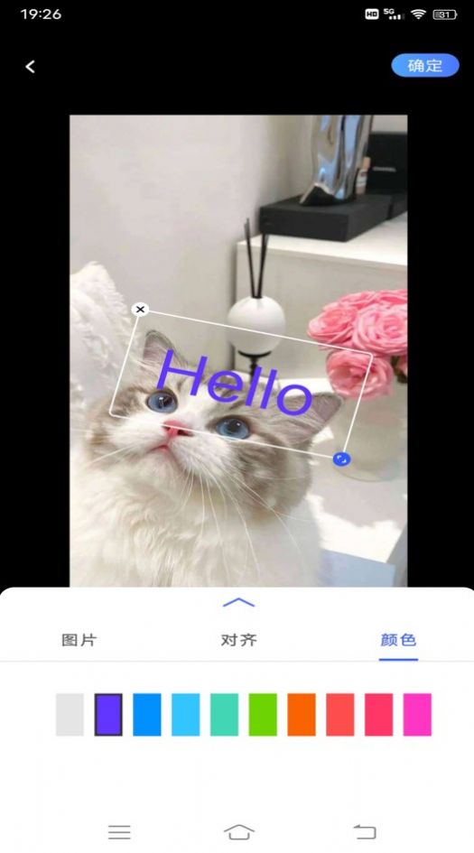 小猪翻译视频app官方下载v1.0.1