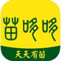 苗哆哆app手机版下载v1.0