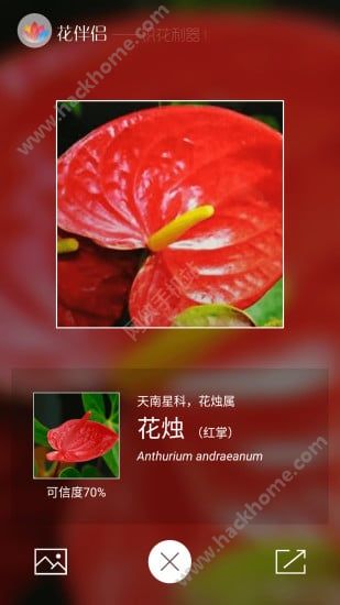 花伴侣官网app软件下载v3.2.12