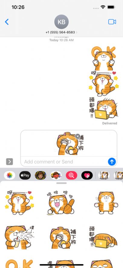 白烂猫19贴纸app免费下载v1.0