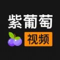 紫葡萄视频免费版app下载v1.0.0