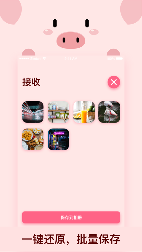 小猪快传软件app下载v1.1.7