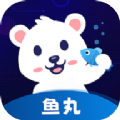 鱼丸电竞app官方下载v1.0.0