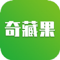 奇藏果艺术app绘画学习官方版v1.5