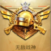 平板视角pubg软件app下载v1.0