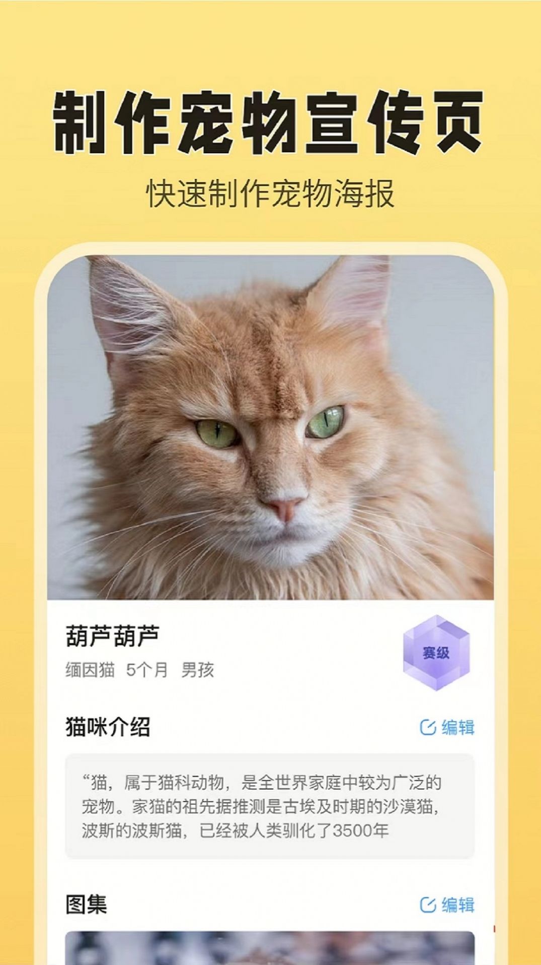 猫老板猫舍管理app官方版下载v1.0.0