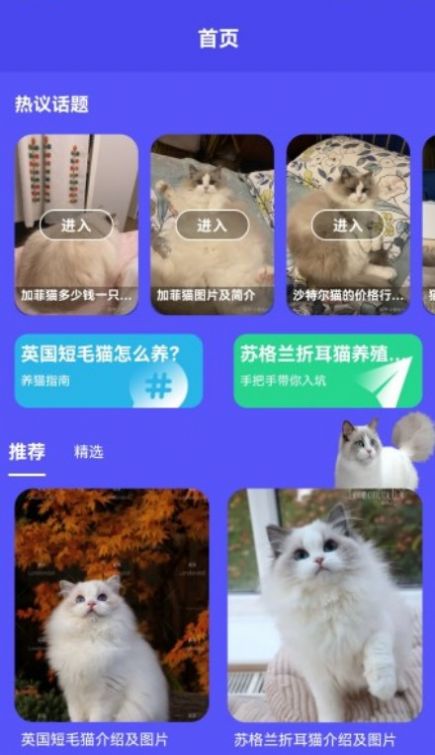 小奶猫呀宠物社区app官方下载v1.1