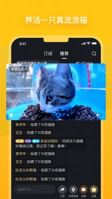 哈啰街猫流浪猫救助APP官方下载v1.0.1