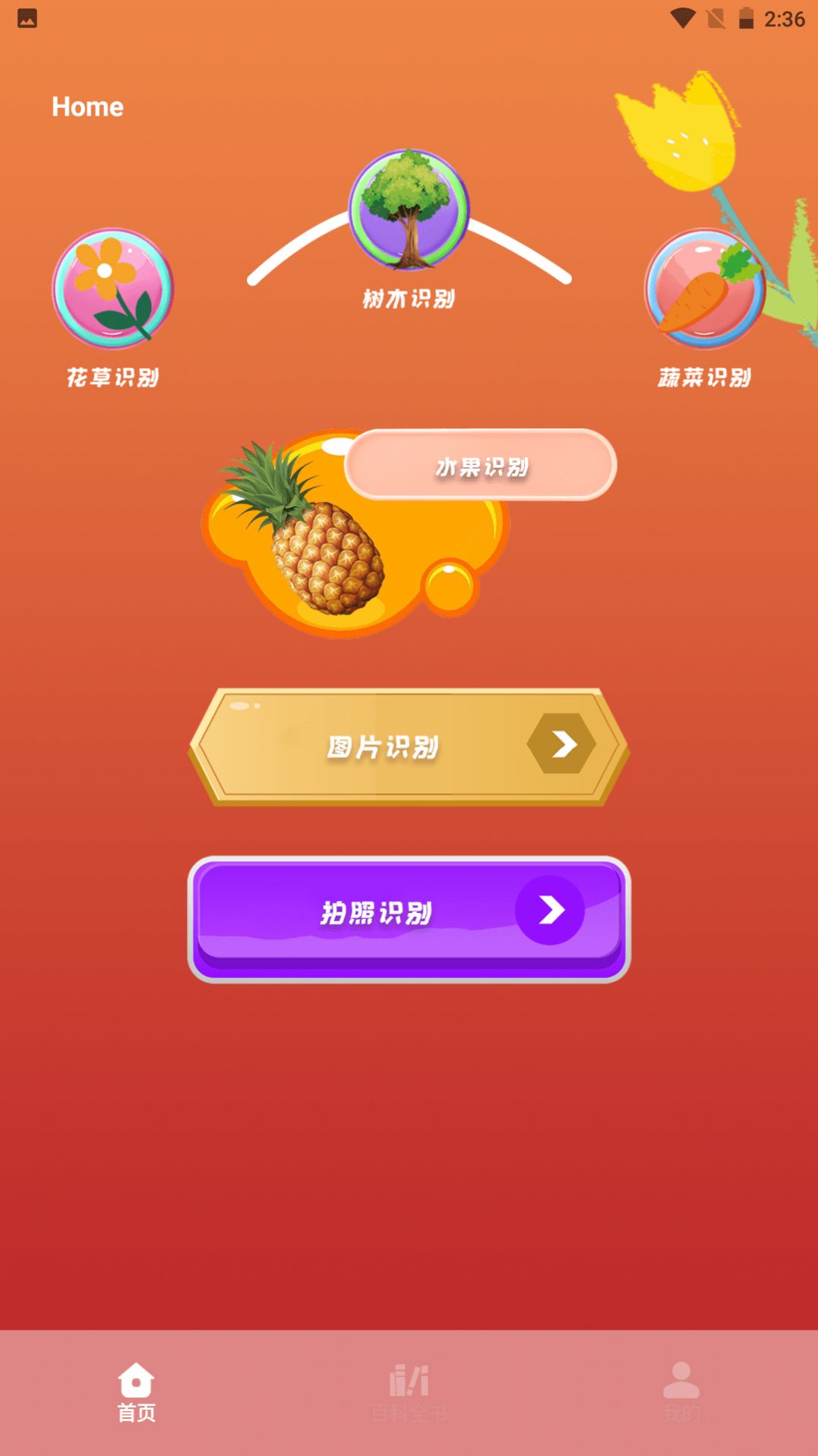 plantae植物识别软件app手机版下载v1.1