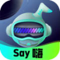 Say嗨元宇宙社交app官方下载v1.0.2