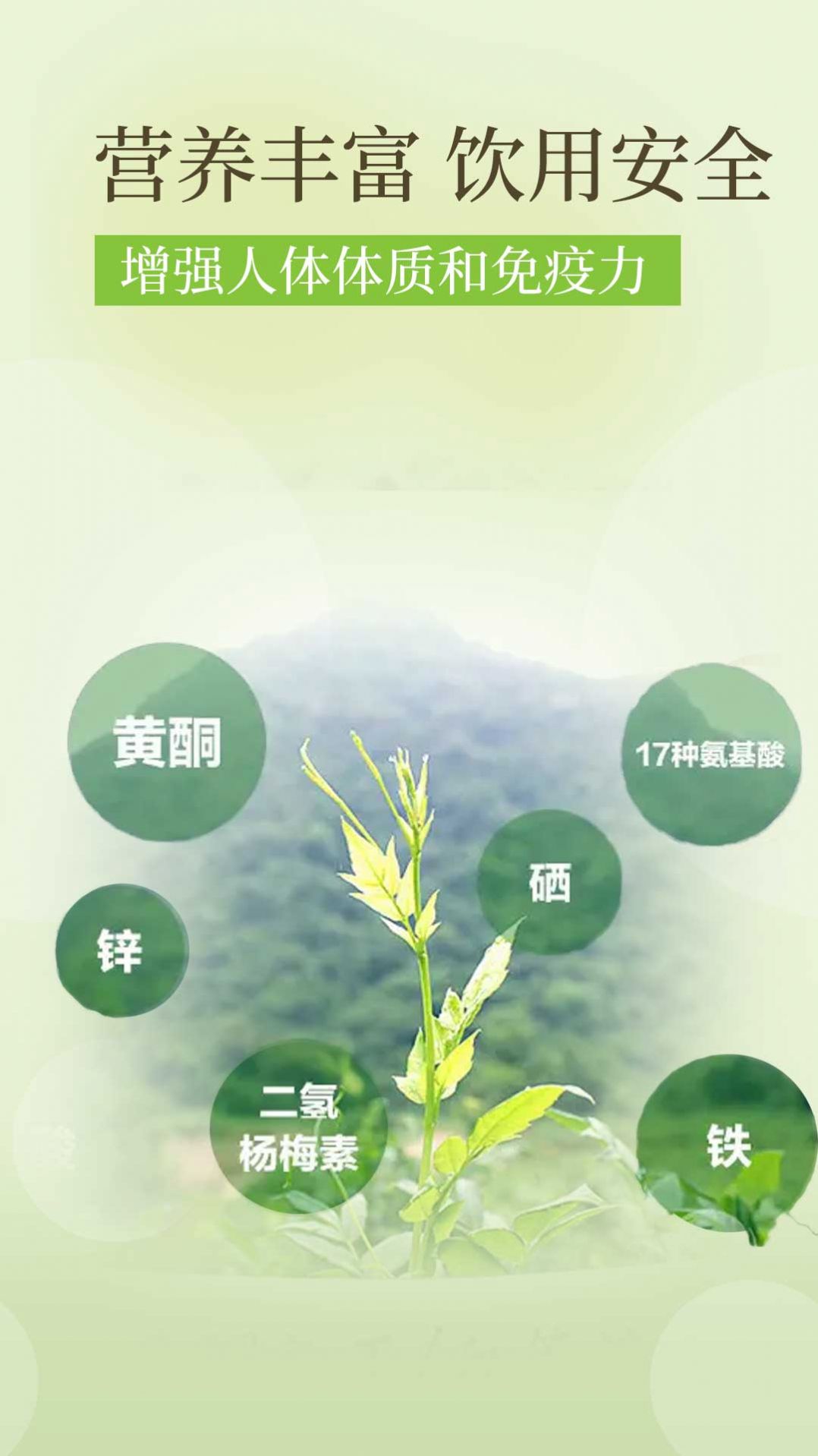 降三高莓茶app软件下载图片2