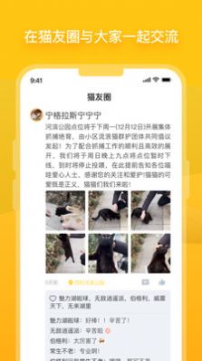 哈啰街猫流浪猫救助APP官方下载图片2