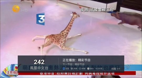 水星TV6.6最新版app官方免费下载安装图片2