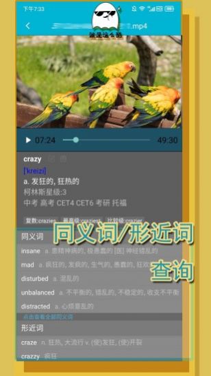 单词播放器官方版app软件下载v1.0.0