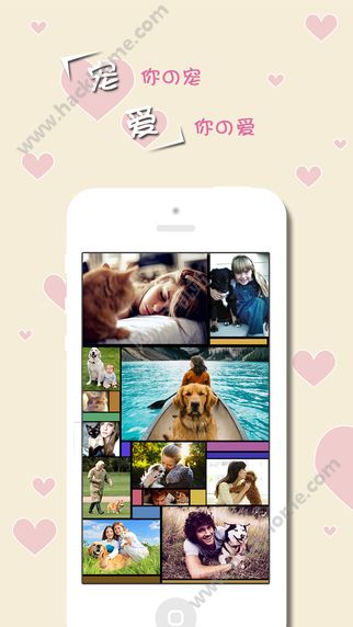 宠爱宠物社交app官网下载v2.8.99