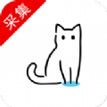 猫影视Pro官方app下载软件v1.0.0