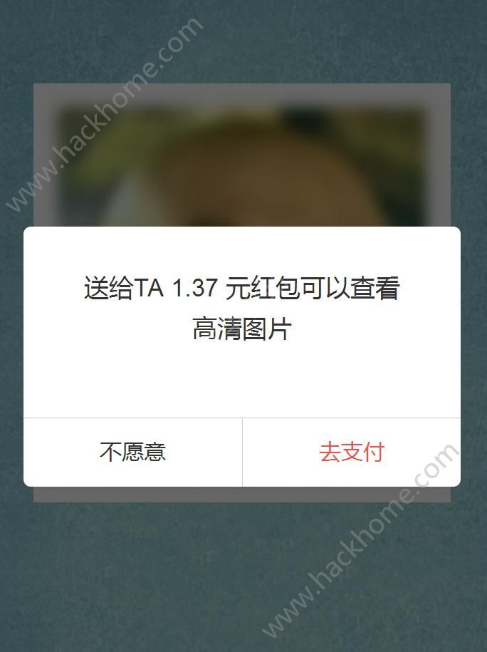 微信好友检测榜测试下载v8.0.0