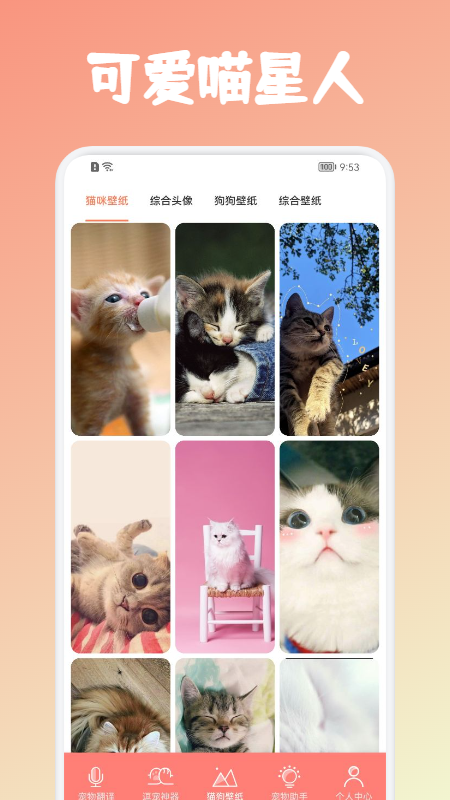 安猫宠物交流工具app最新版下载v1.0