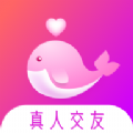 聊会app官方下载v1.1.0