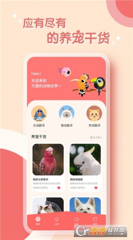 鹦鹉翻译器app官方下载v1.0.0